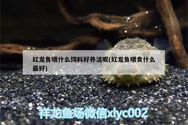 寧安市鴻日商貿有限公司（寧安市鴻日商貿有限公司電話）
