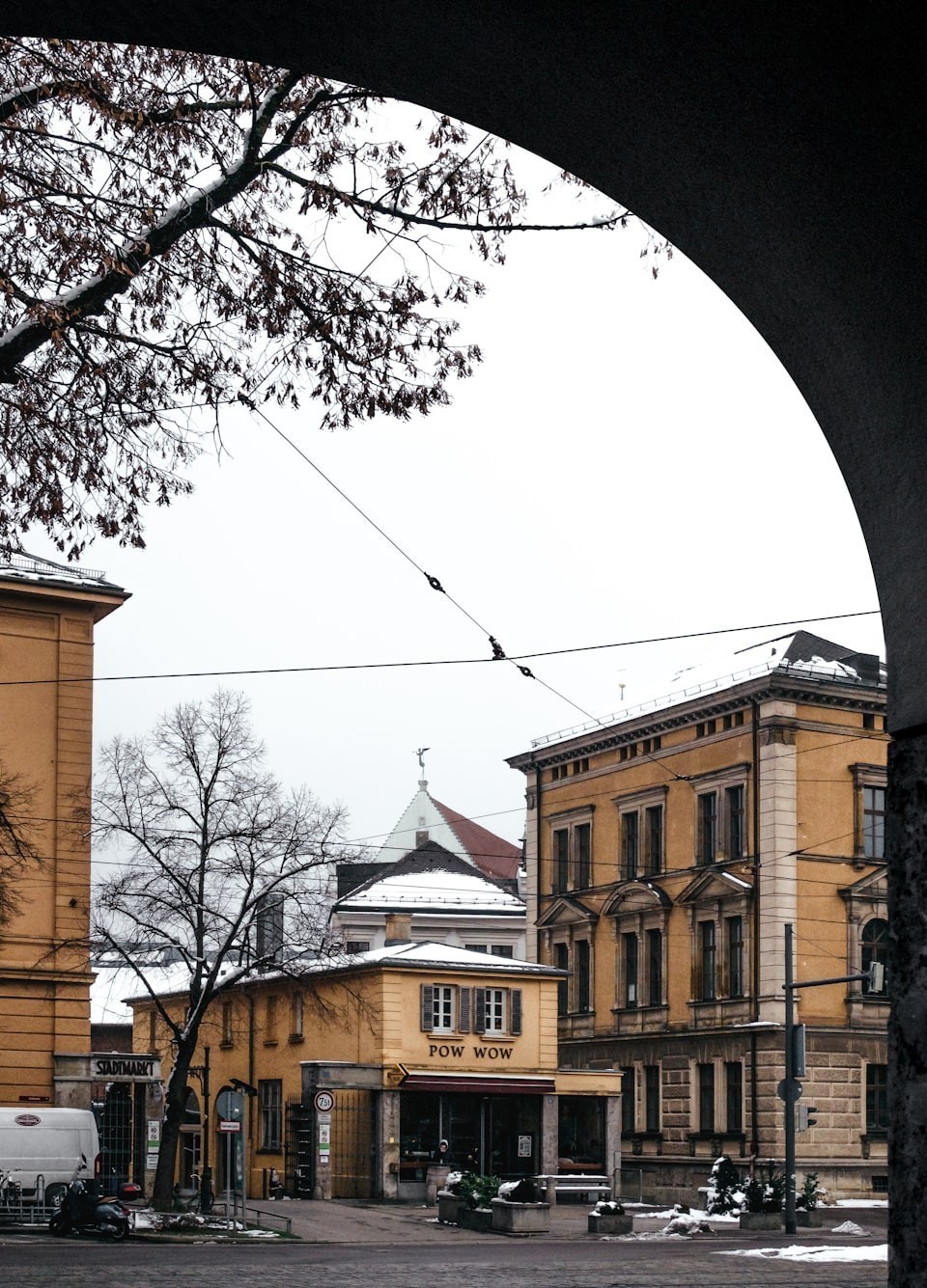 福州市倉山區添彩寵物經營部（福州市倉山區添彩寵物經營部地址）