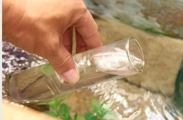 惠利得魚缸（惠利得魚缸用戶評價如何,惠利得魚缸適合養(yǎng)哪些魚）
