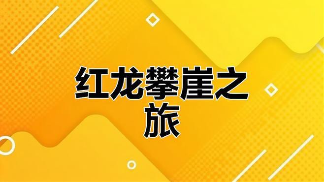 藍底紅龍魚和綠底紅龍魚