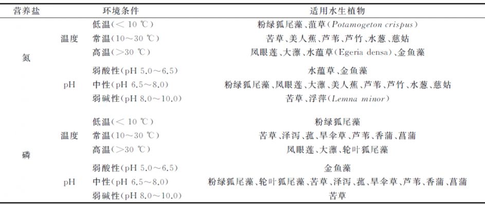 不同水質下水草的選擇技巧：不同類型的水質條件下選擇水草的技巧，選擇水草的技巧