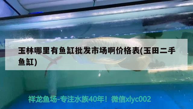玉林哪里有魚缸批發市場啊價格表(玉田二手魚缸)