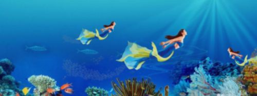 養(yǎng)熱帶魚魚缸如何布景，熱帶魚缸水草養(yǎng)護要點