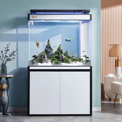 龍魚缸十大名牌排行榜及價格：水質監測龍魚缸品牌推薦