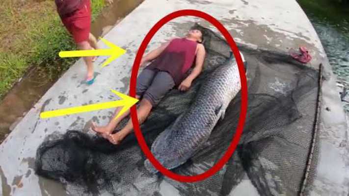 運城市風陵渡開發區冰飛水族花卉店（運城花鳥魚市場在哪）