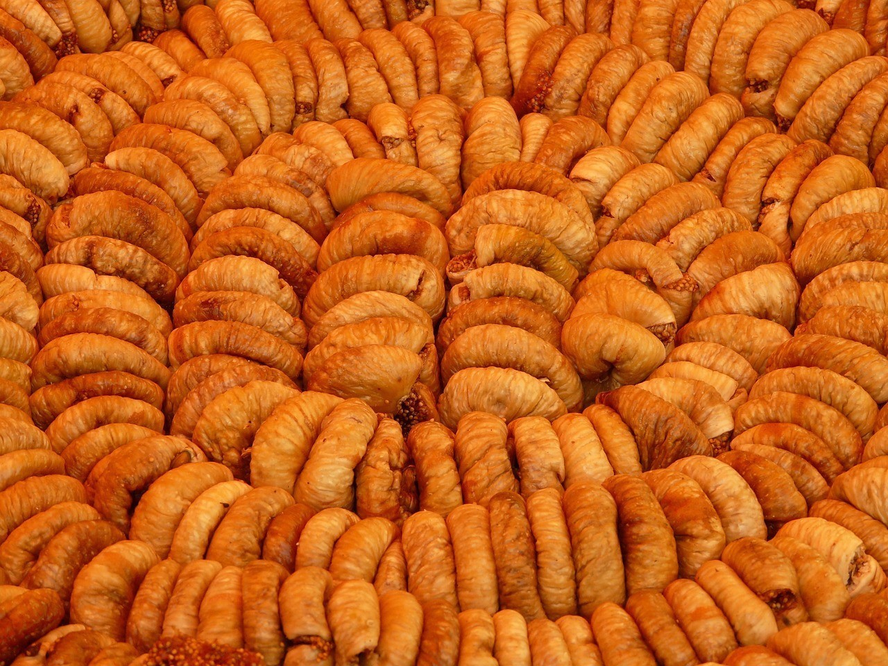 梁山縣洪勝黃粉蟲養殖專業合作社