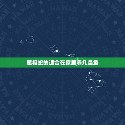 紅龍魚怎么上色快些視頻（紅龍魚怎么上色快些視頻教程）