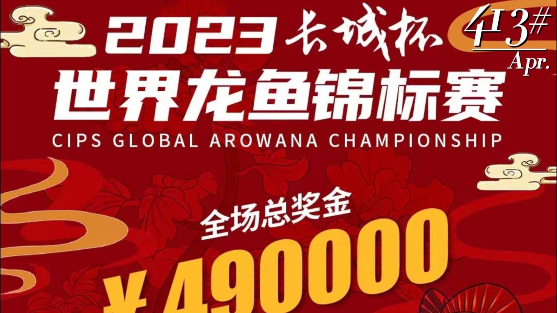 如何搜索高清紅龍魚視頻？