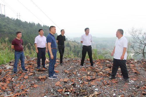 湘潭九龍魚頭老板是誰呀圖片