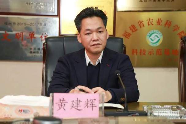 湘潭九龍魚頭老板是誰呀圖片