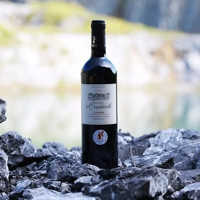 南龍魚（南龍魚是一個常見的名稱但實際上可能指代不同的魚類）