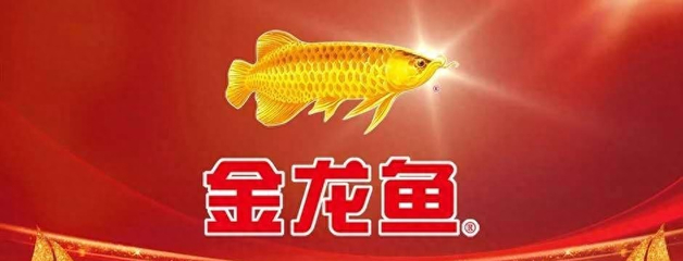 金龍魚官網登錄入口
