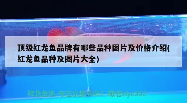 五星水族魚缸售后保定店（五星水族客服電話）