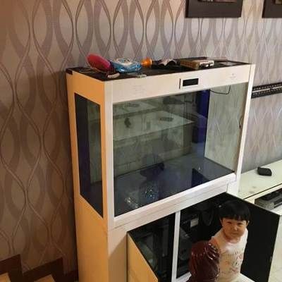 可麗愛魚缸售后服務中心電話地址（可麗愛魚缸常見問題解答）