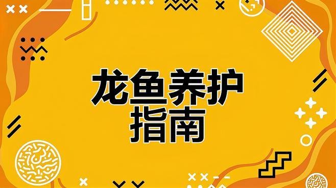 龍魚(yú)拒食期間換水需要注意什么？