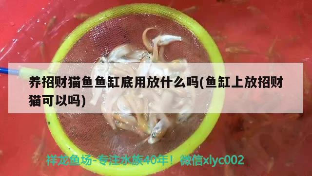 濉溪縣幸運(yùn)板材店