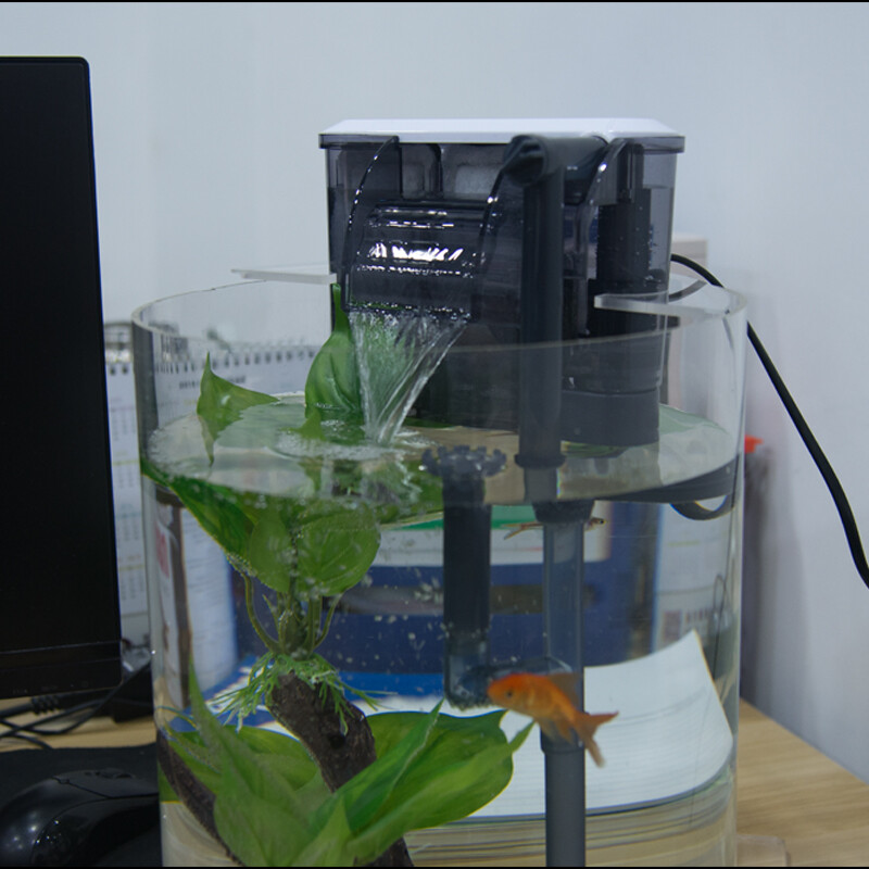 大連經(jīng)濟技術(shù)開發(fā)區(qū)裕民新苑大河錦鯉觀賞魚店（大連開發(fā)區(qū)大河錦鯉養(yǎng)殖場）