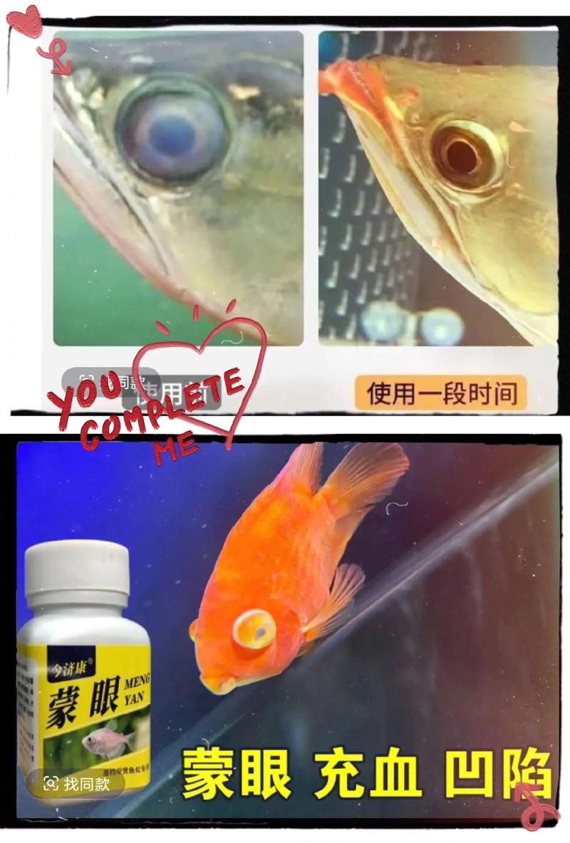 龍魚蒙眼的原因和治療方法圖片視頻