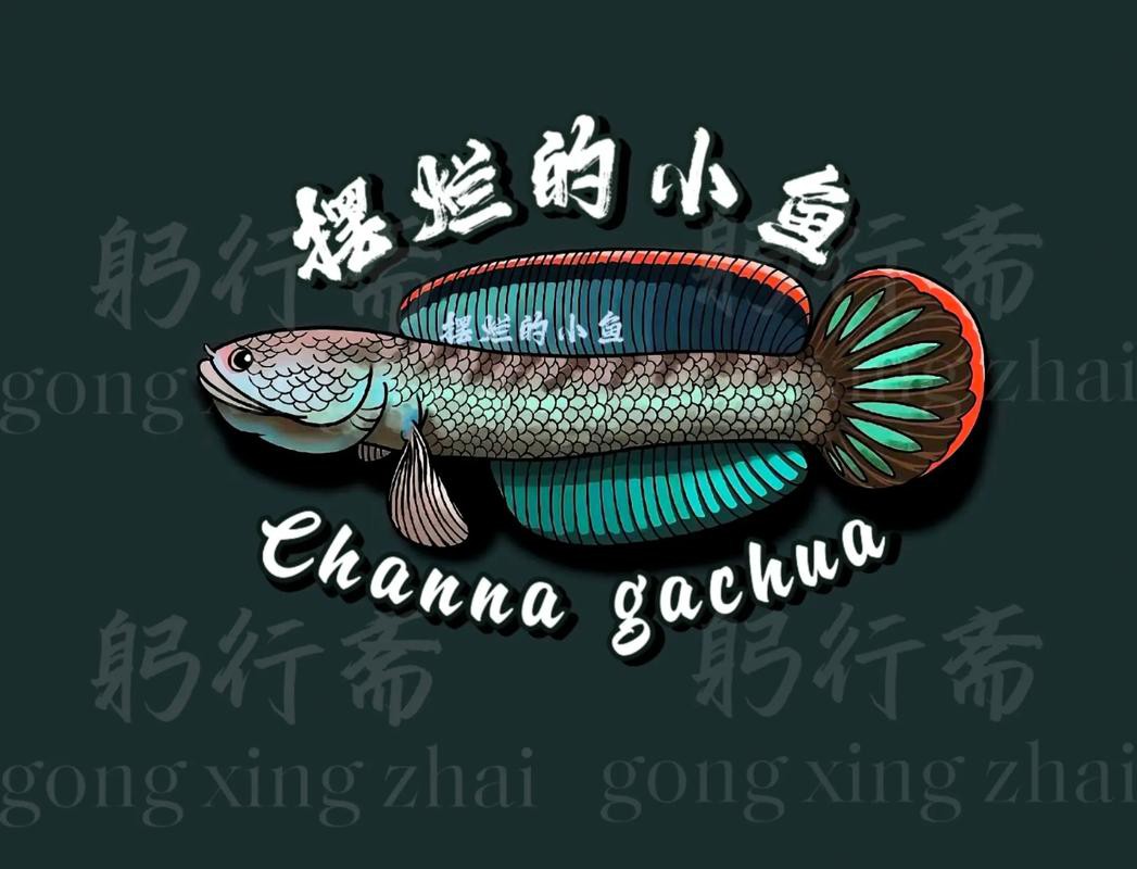 紅龍魚圖片高清大圖可愛頭像女