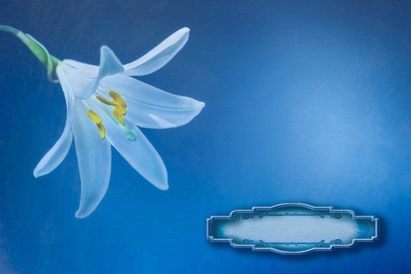 哪個品牌魚缸水泵靜音，森森魚缸水泵價格對比