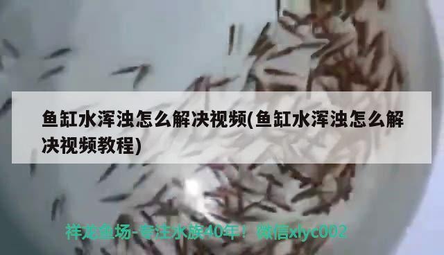 菏澤開(kāi)發(fā)區(qū)思琦鮮花店