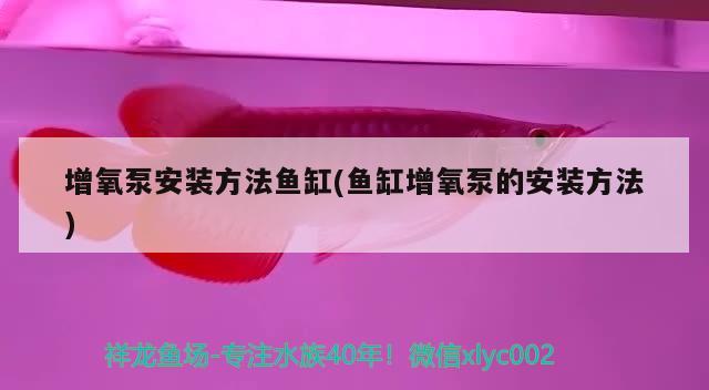 菏澤開(kāi)發(fā)區(qū)思琦鮮花店