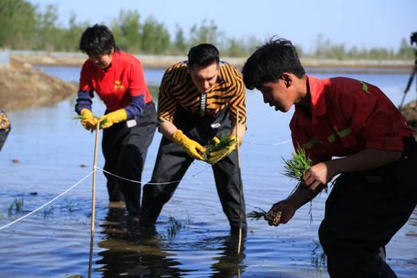 宜賓市翠屏區(qū)七秒水族經(jīng)營部（七秒水族官網(wǎng)）