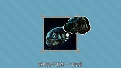 秒懂百科龍魚：龍魚是一種歷史悠久且種類繁多的淡水魚類