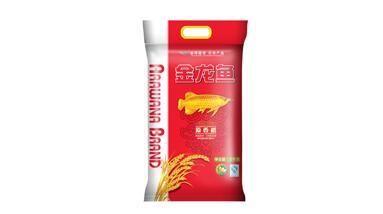 白色金龍魚吃什么食物長得快：白色金龍魚吃什么食物長得快白金龍魚吃什么食物長得快