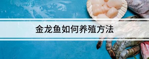 金龍魚怎么打開金龍魚的包裝油壺的開啟步驟如下：金龍魚包裝油壺開啟步驟金龍魚包裝油壺開啟步驟