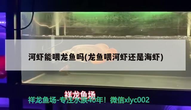 深圳市龍崗區聚緣水族鮮花店