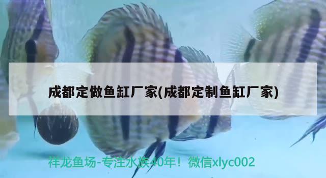 東興市湖邊水族店