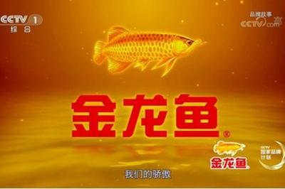 大魚缸如何清理底部水垢 怎么清魚缸底部得水 大魚缸如何清理底部水垢 怎么清魚缸底部得水 則道紅龍 第2張