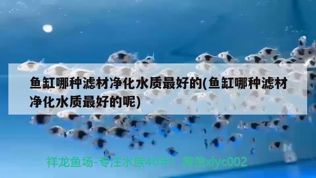 九三局直小國漁具店