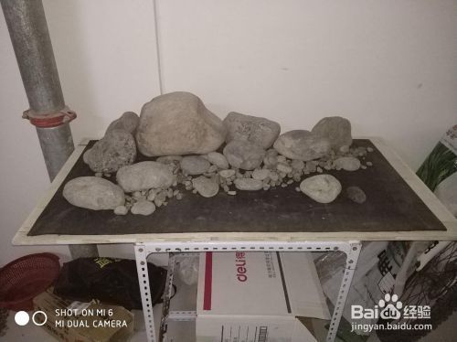 生態魚缸造景圖片欣賞，生態魚缸造景設計技巧