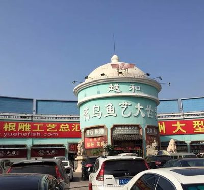 廣州龍魚市場：廣州龍魚市場是一個(gè)多元化、專業(yè)化、專業(yè)化、專業(yè)化的市場