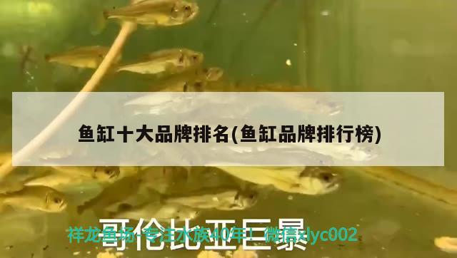 承德縣花之語花店