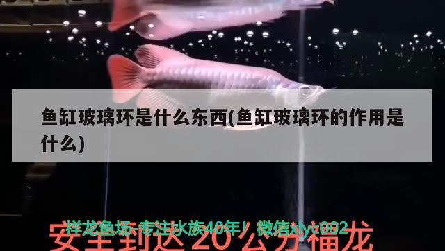徐州萬熠商業管理有限公司（徐州萬諾餐飲管理有限公司）