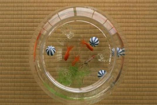 橋西區張氏羅漢水族館