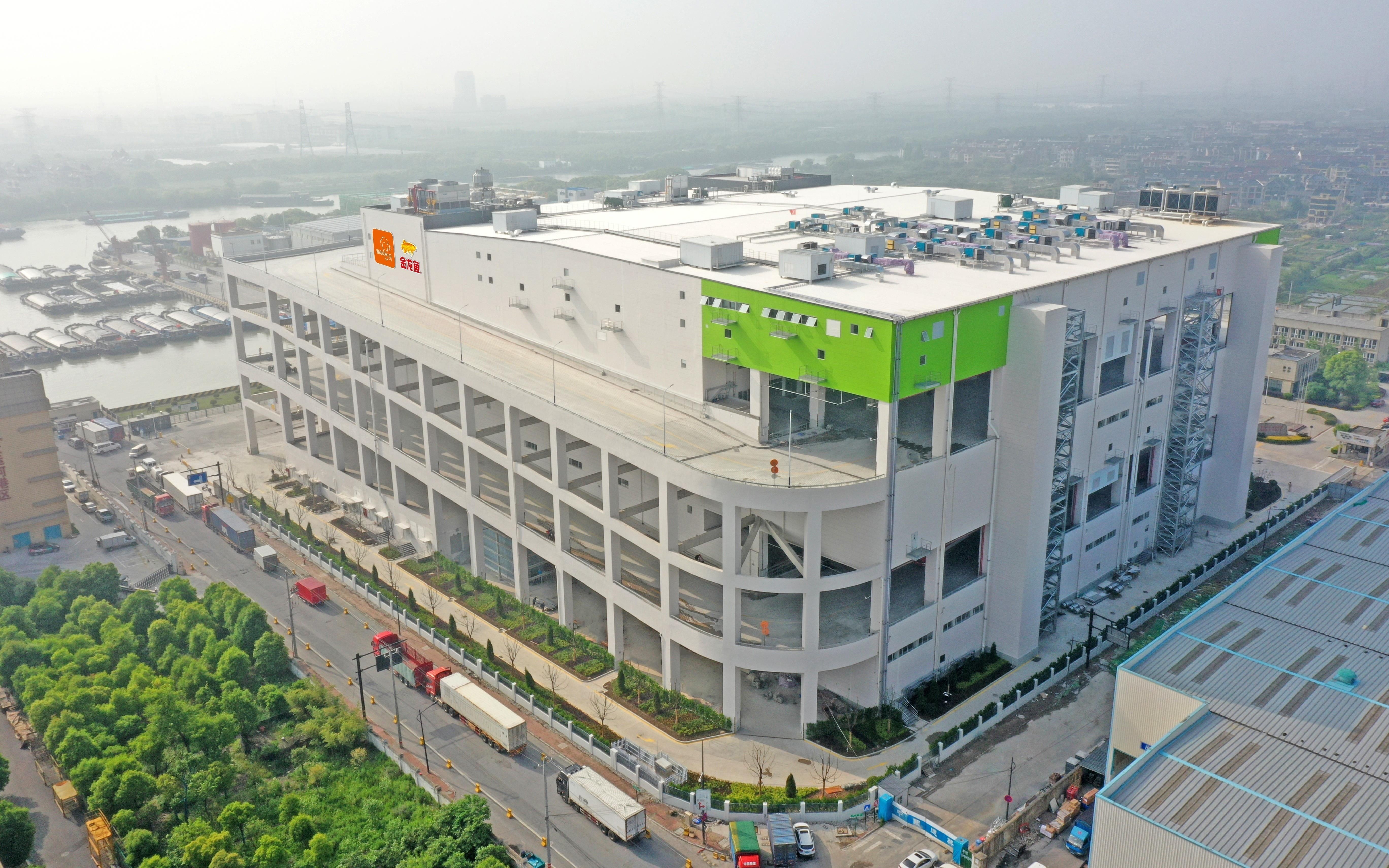 藍麟金龍魚：關于藍底過背金龍魚的一些詳細信息