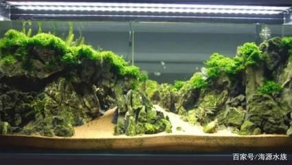 魚缸圖片 效果圖高清，客廳財(cái)位擺放魚缸指南