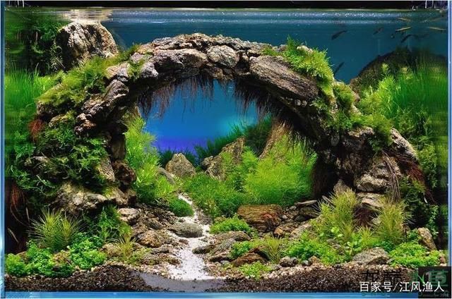 魚(yú)缸圖片 效果圖高清，客廳財(cái)位擺放魚(yú)缸指南