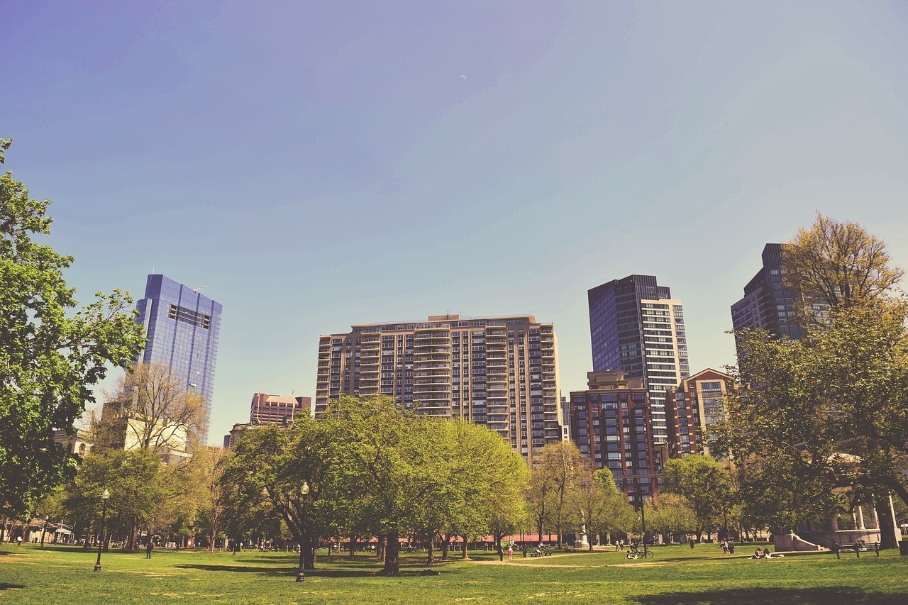 瀏陽生物醫藥園恒林園藝經營部（瀏陽生物醫藥園恒林園藝經營部地址）