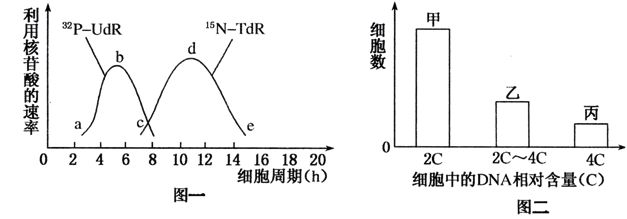 龍魚可以用高錳酸鉀消毒嗎：高錳酸鉀可以消毒龍魚活餌嗎？