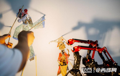 清潔魚缸的動物有哪些（ 清潔魚缸哪種魚好） 清潔魚缸的動物有哪些（ 清潔魚缸哪種魚好） 天王紅龍 第2張