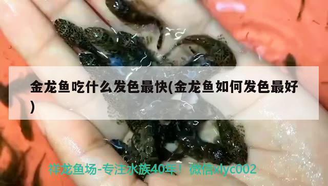濟南市長清區清青閩江水族館