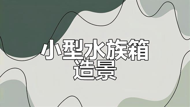 養龍魚可以造景嗎視頻教學