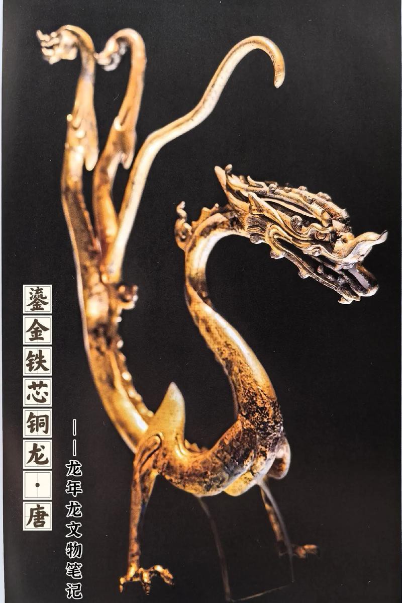 還有哪些著名的銅龍圖片？