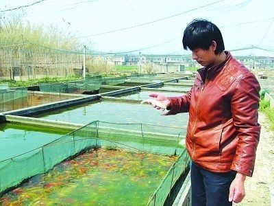 呼和浩特龍魚養殖基地：關于呼和浩特龍魚養殖基地的信息 呼和浩特龍魚養殖基地：關于呼和浩特龍魚養殖基地的信息 龍魚百科 第1張