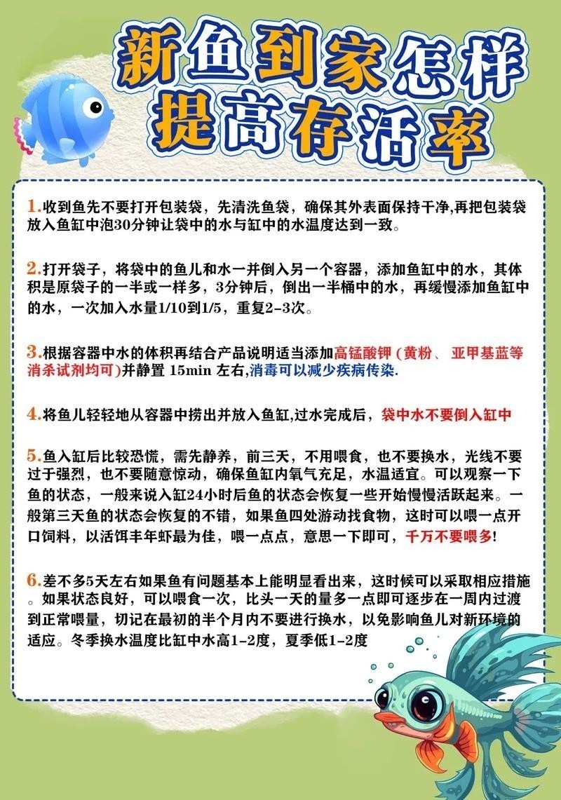銀龍魚剛入缸趴底怎么辦